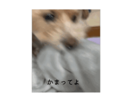 846620365