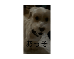 846620368