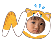 846620425