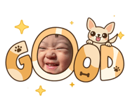 846620430