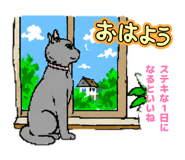 846621445