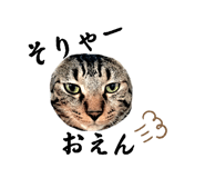 846621937