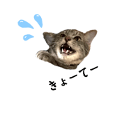 846621938