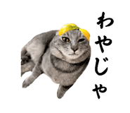 846621943