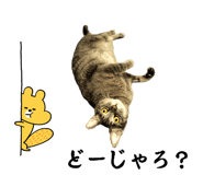 846621949