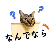 846621956