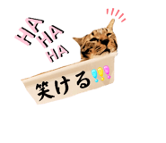 846621972
