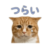 846622265