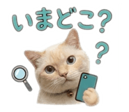 846622277