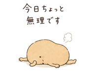 846622465