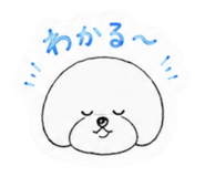 846622538
