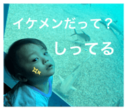 846623170