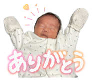 846623798