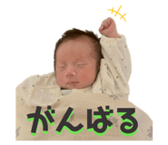 846623799