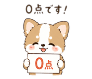 846623955
