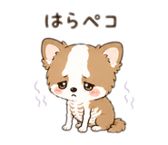 846623986