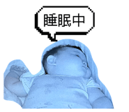 846624259