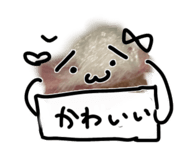 846624284