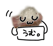 846624295