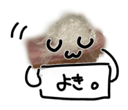 846624296