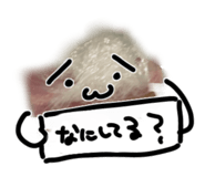 846624298
