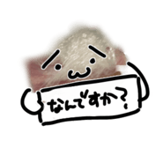 846624299
