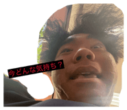 846624506