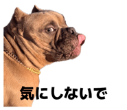 846624536