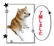 846624669