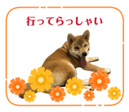 846624680