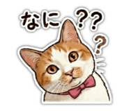 846625414