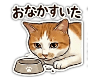 846625416