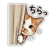 846625417