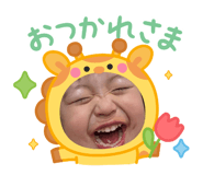 846625565