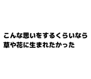 846626198