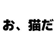 846626206