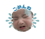 846626501