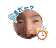 846626505