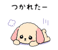 846626778