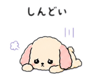 846626787