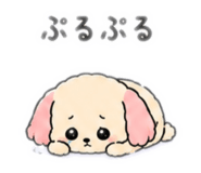 846626807