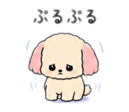 846626808