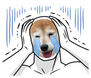 846627138