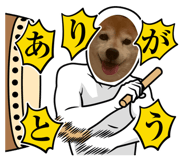 846627142