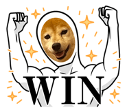 846627144