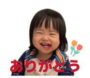 846627221