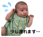 846633377