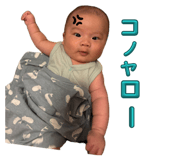 846633387