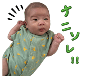 846633396