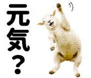 846633441